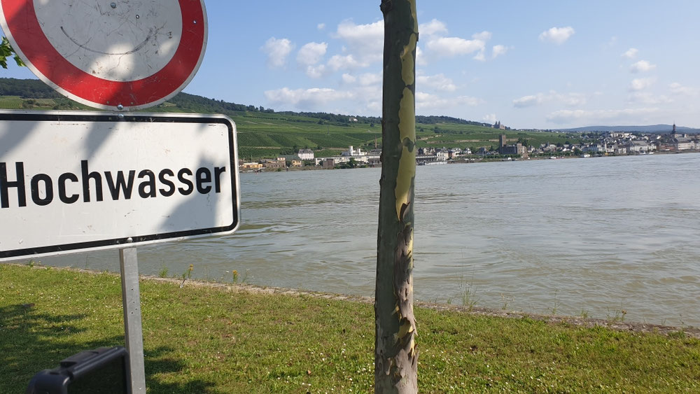Hochwasser am Rhein