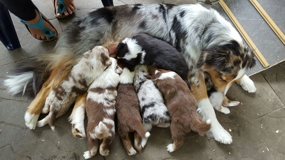 Bei Mama schmeckts natürlich sowieso 😍