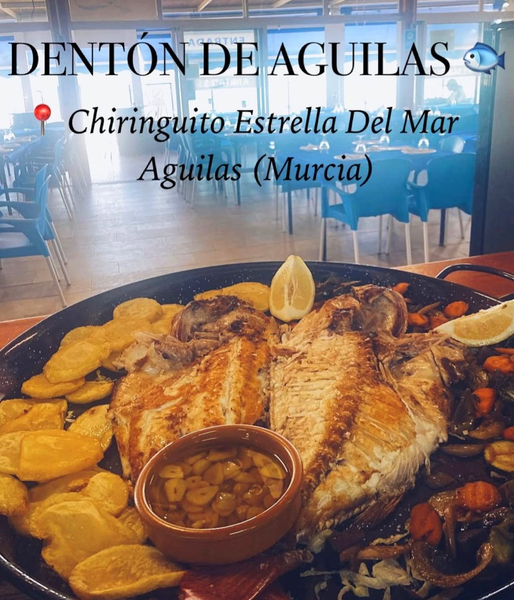 Página web de chiringuitoestrellademar