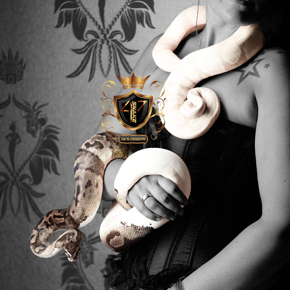 EroticShooting with my Snakes 📷 Linus Henn