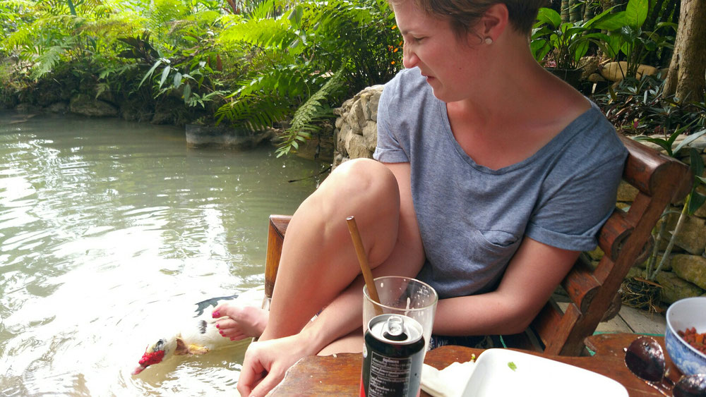 Andrea wurde beim essen von einer Ente belästigt