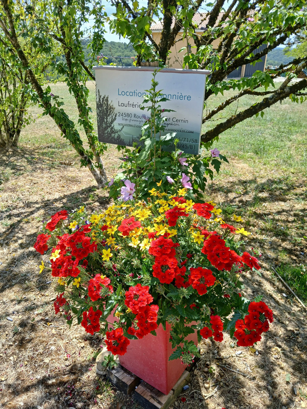 L’entrée du chemin 