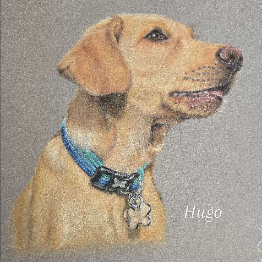 Hugo