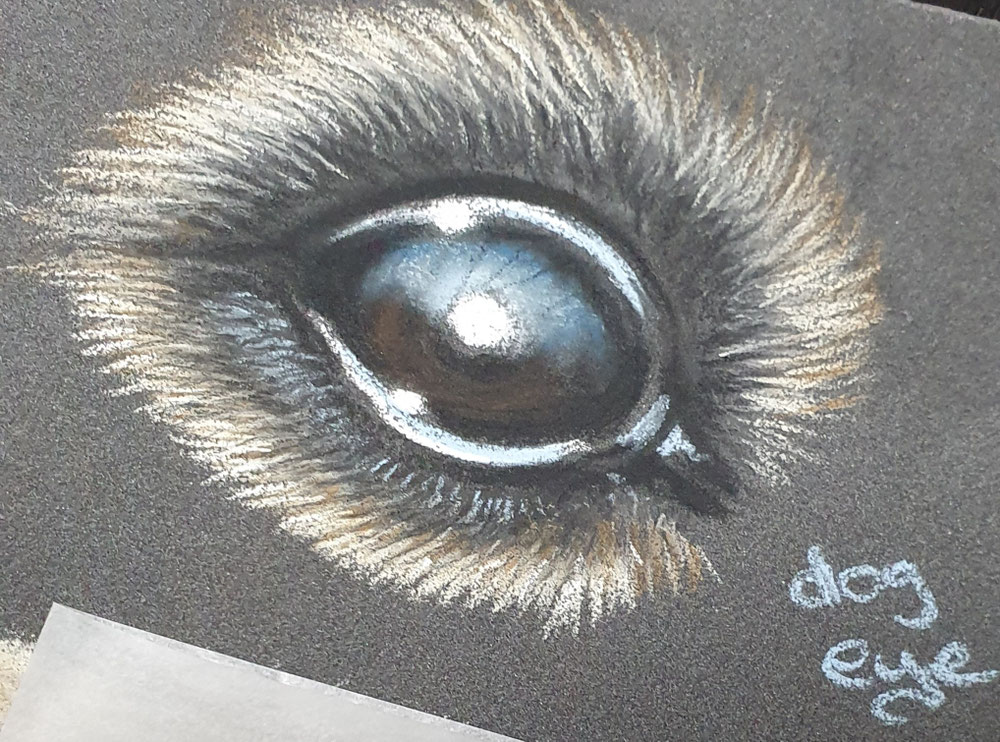 Dog Eye II