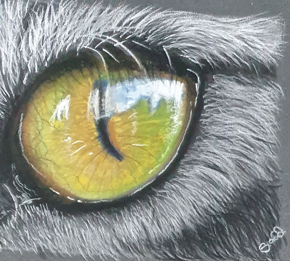 Cat Eye