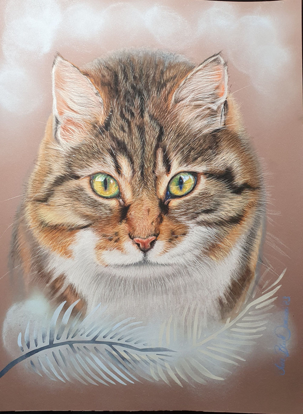 Pauli