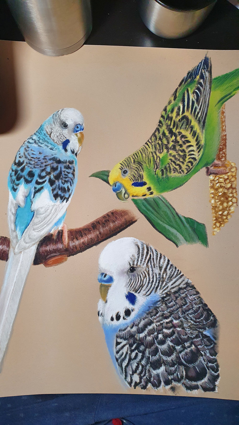 Fly, Flausch und Hansi