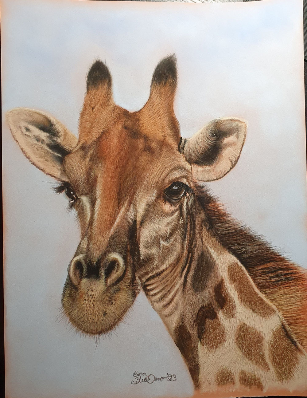 Giraffe