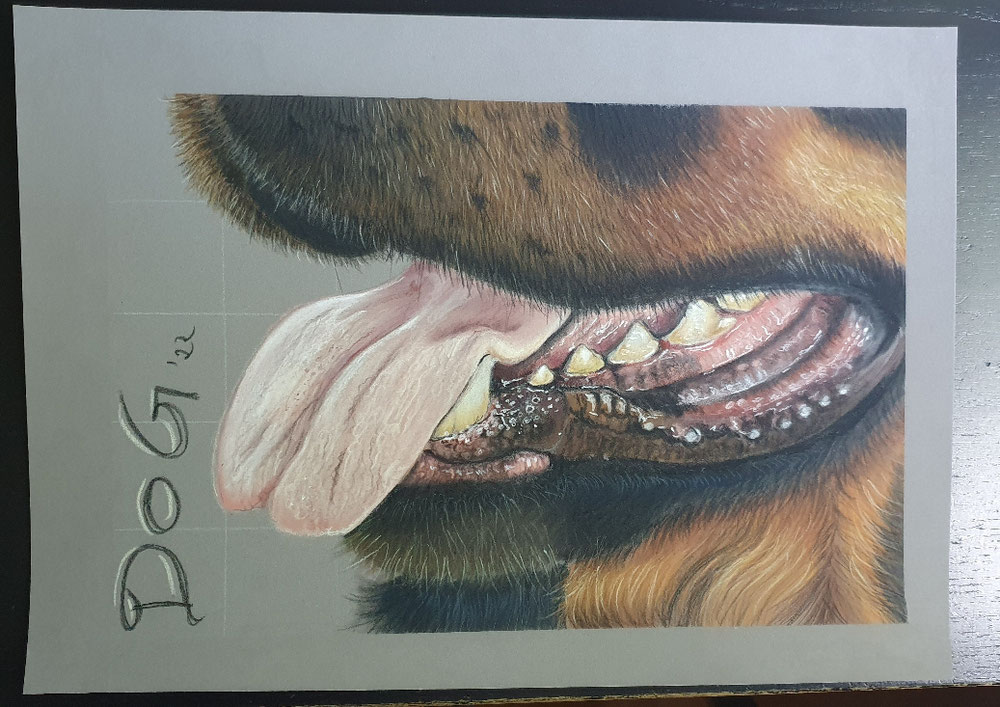 Rottweiler Fang
