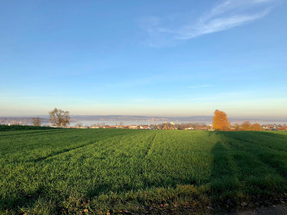 Oberhalb von Kreuzlingen