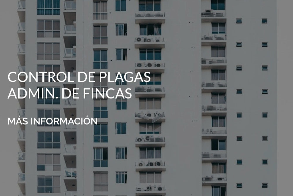 Control de plagas en Murcia 
