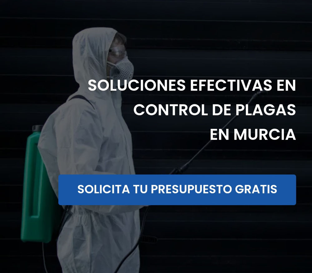 Control de plagas en Murcia 