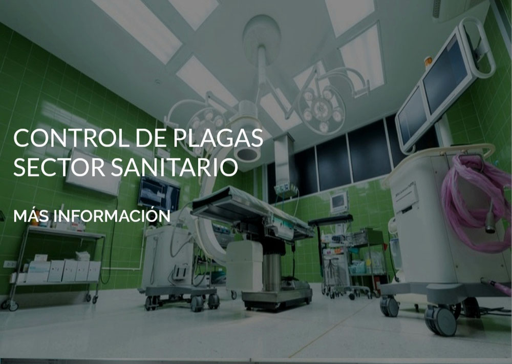 Control de plagas en Murcia 