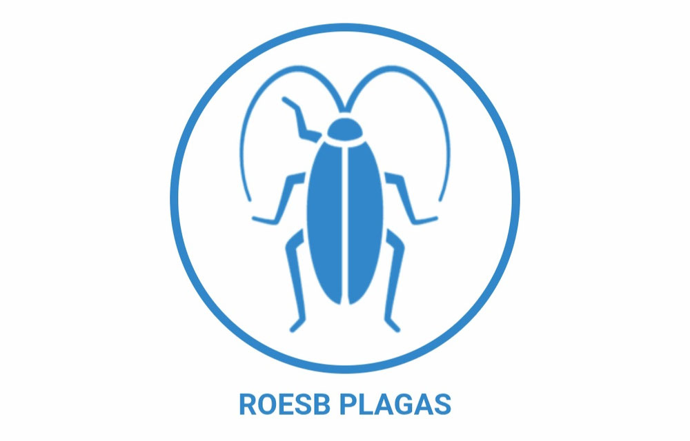 Control de plagas en Murcia
