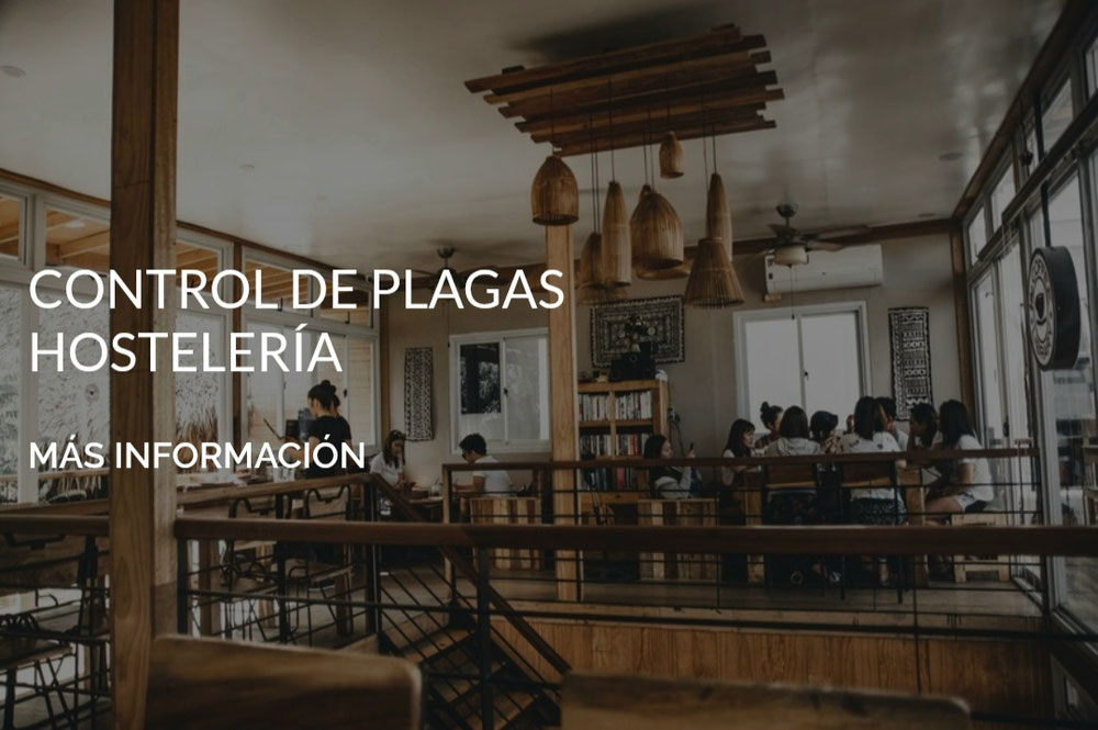 Control de plagas en Murcia 