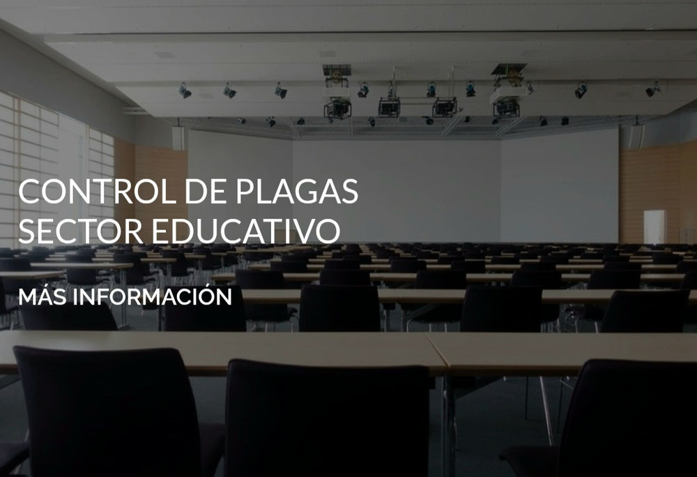 Control de plagas en Murcia