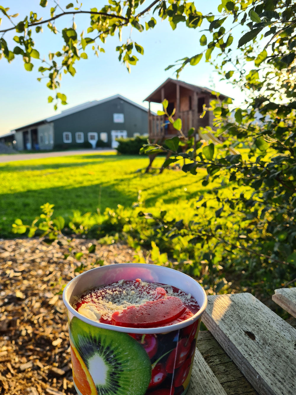 Milcheis mit Rastplatz und Kinderspielplatz 