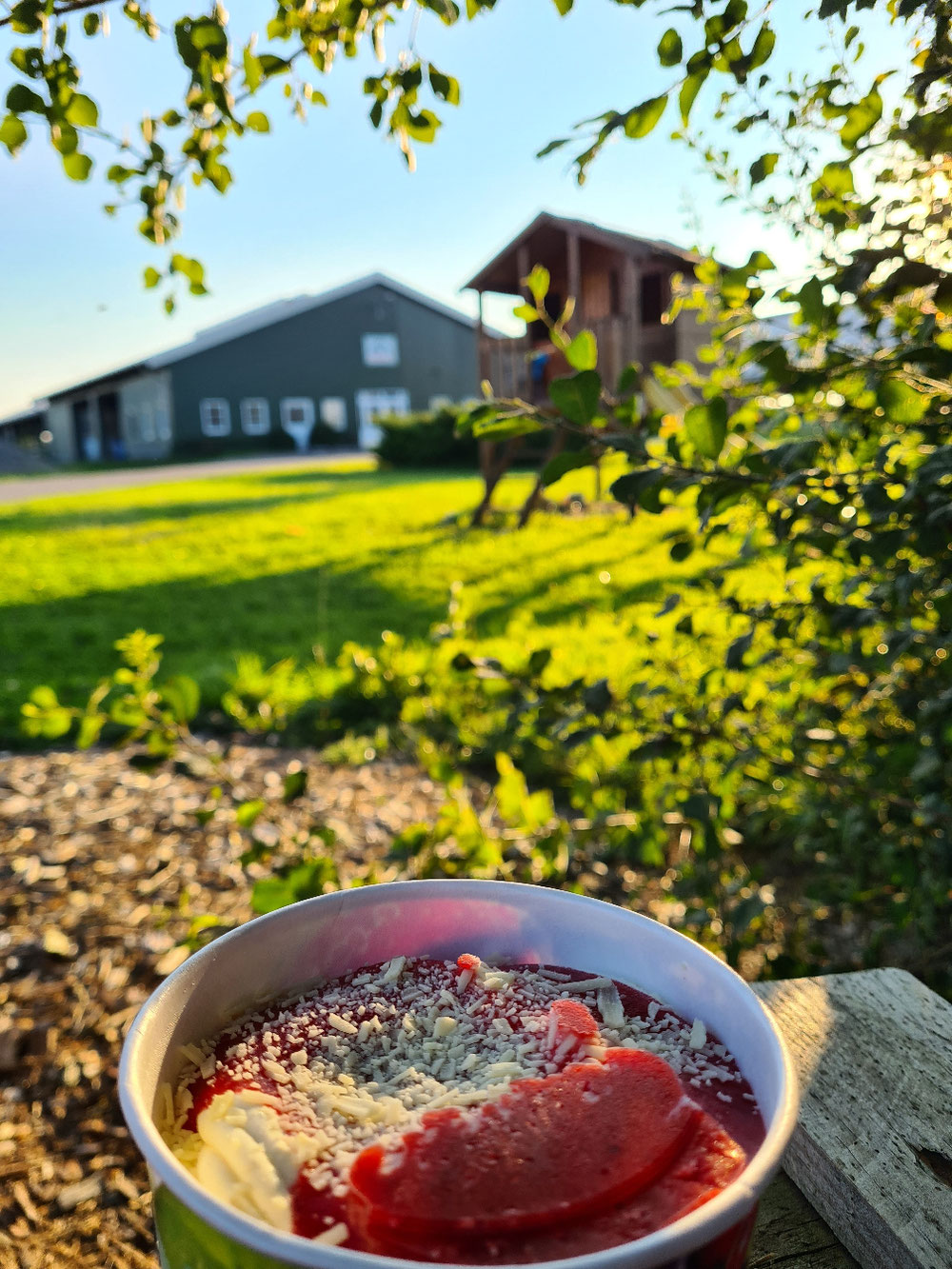 Spagettieis am Rastplatz 
