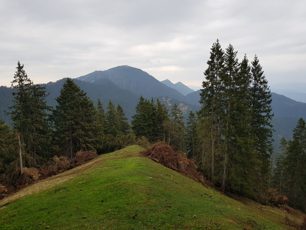 Blick vom Ölrain zum Heimgarten 