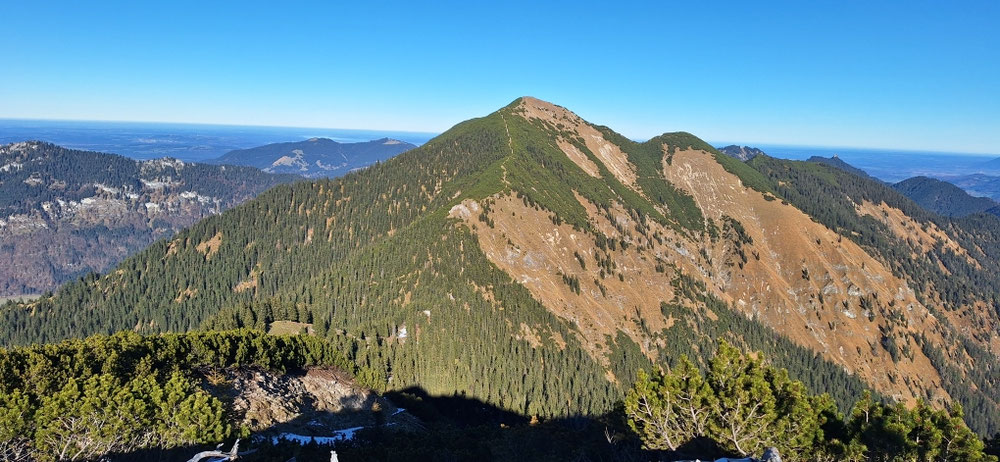 Blick vom Brünnstlkopf zur Notkarspitze