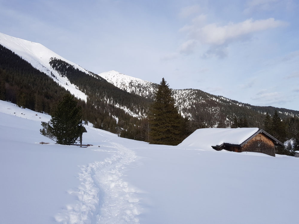 Krottenkopf von der Farchanter Alm