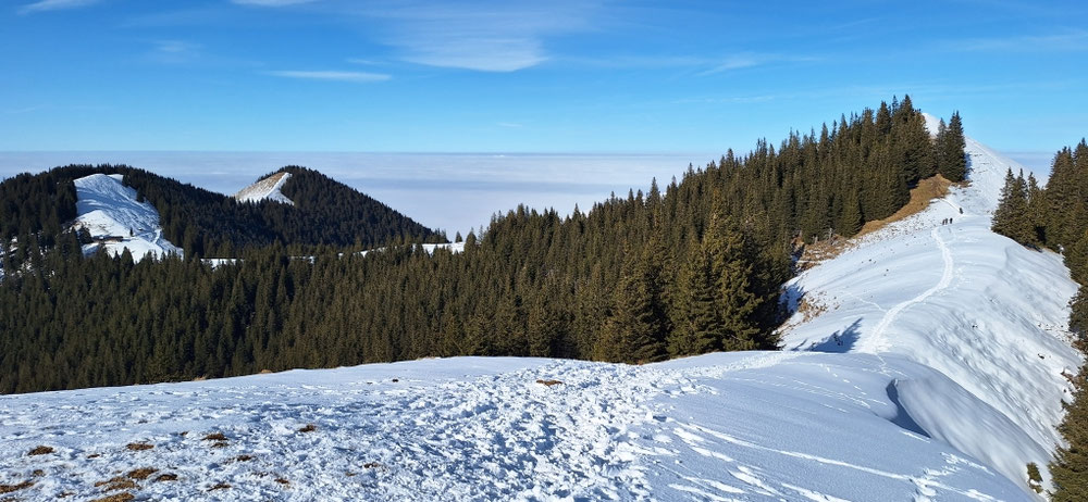 Blick vom Stierkopf auf die Hörnles