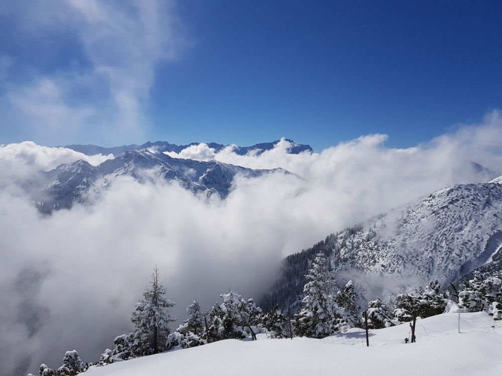 Auf dem Brünnstlkopf 