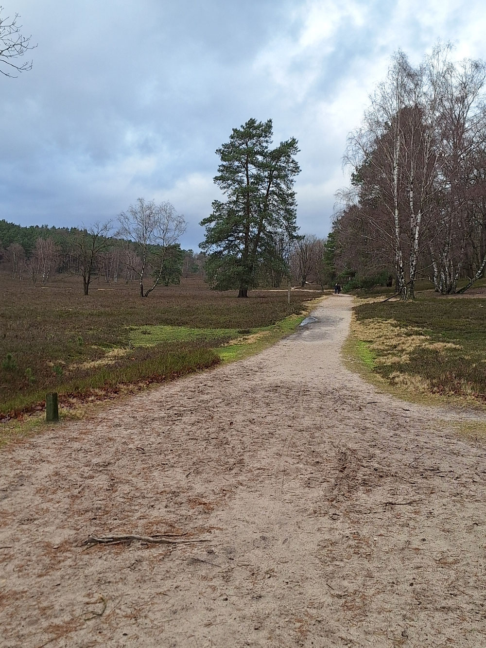 Fischbecker Heide