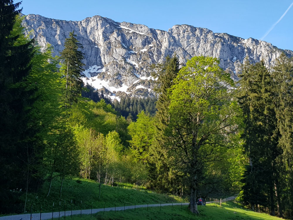 Kurz vor dem Ende des Fahrwegs