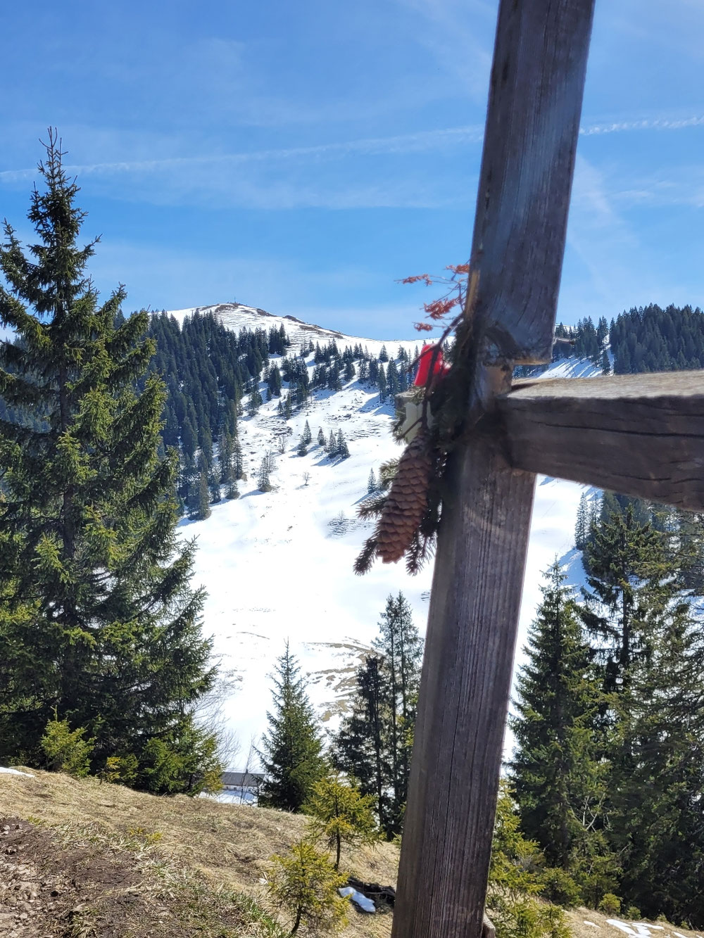 Rückblick vom Grasleitenkopf zur Seekarspitze