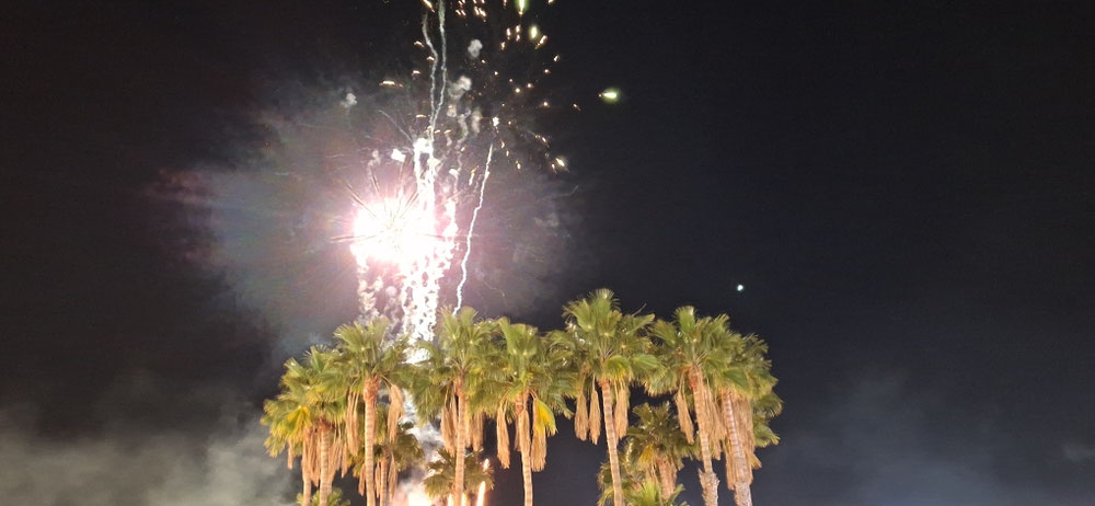 Sylvesterfeuerwerk unter Palmen