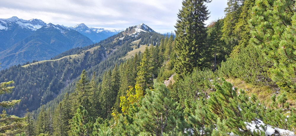 Rückblick zum Schellkopf