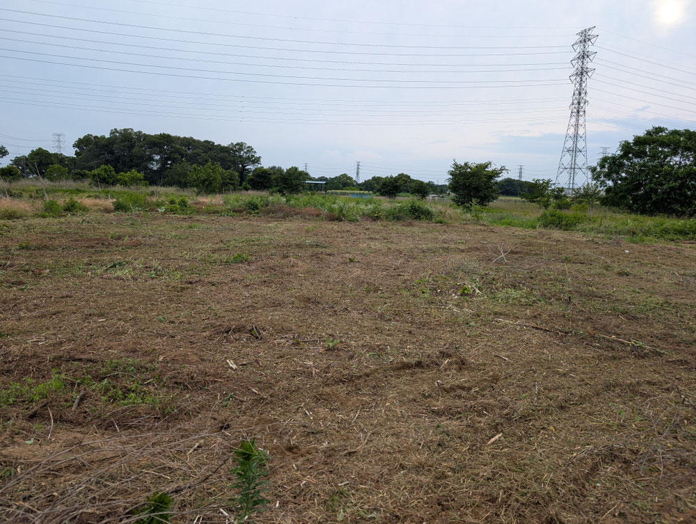 きれいに刈り上げた同じ広い土地（草刈り後・鉄塔背景）