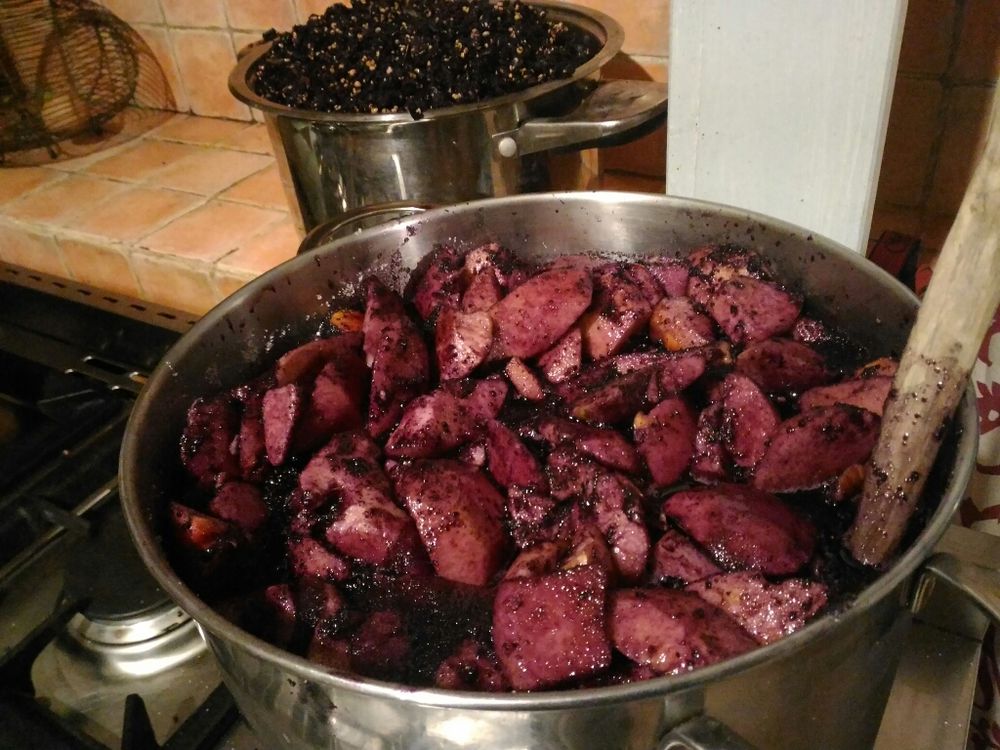 Apples floating in mirto sauce.