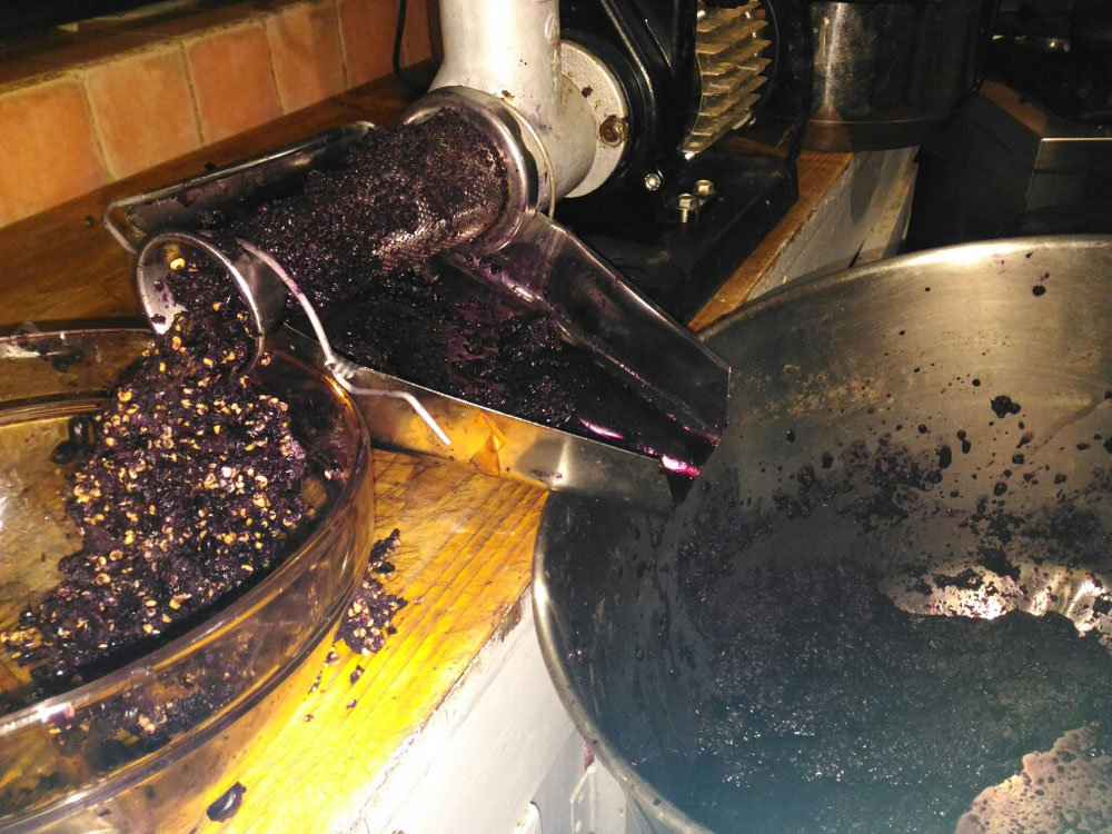 Mirto in our tomato sauce making machine