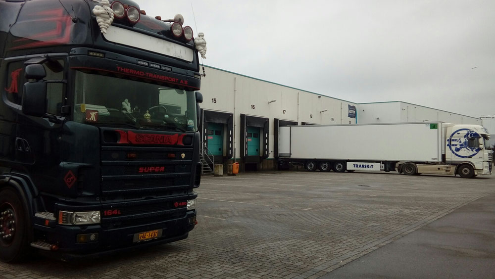 SCANIA 164L \8/480 THERMO-TRANSPORT A/S (DANMARK)