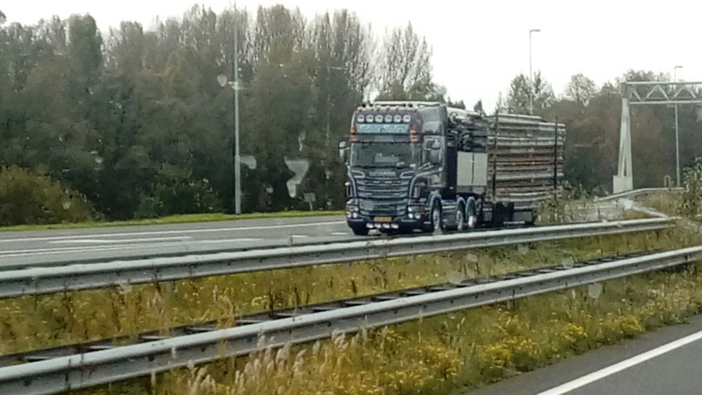 SCANIA SALARI