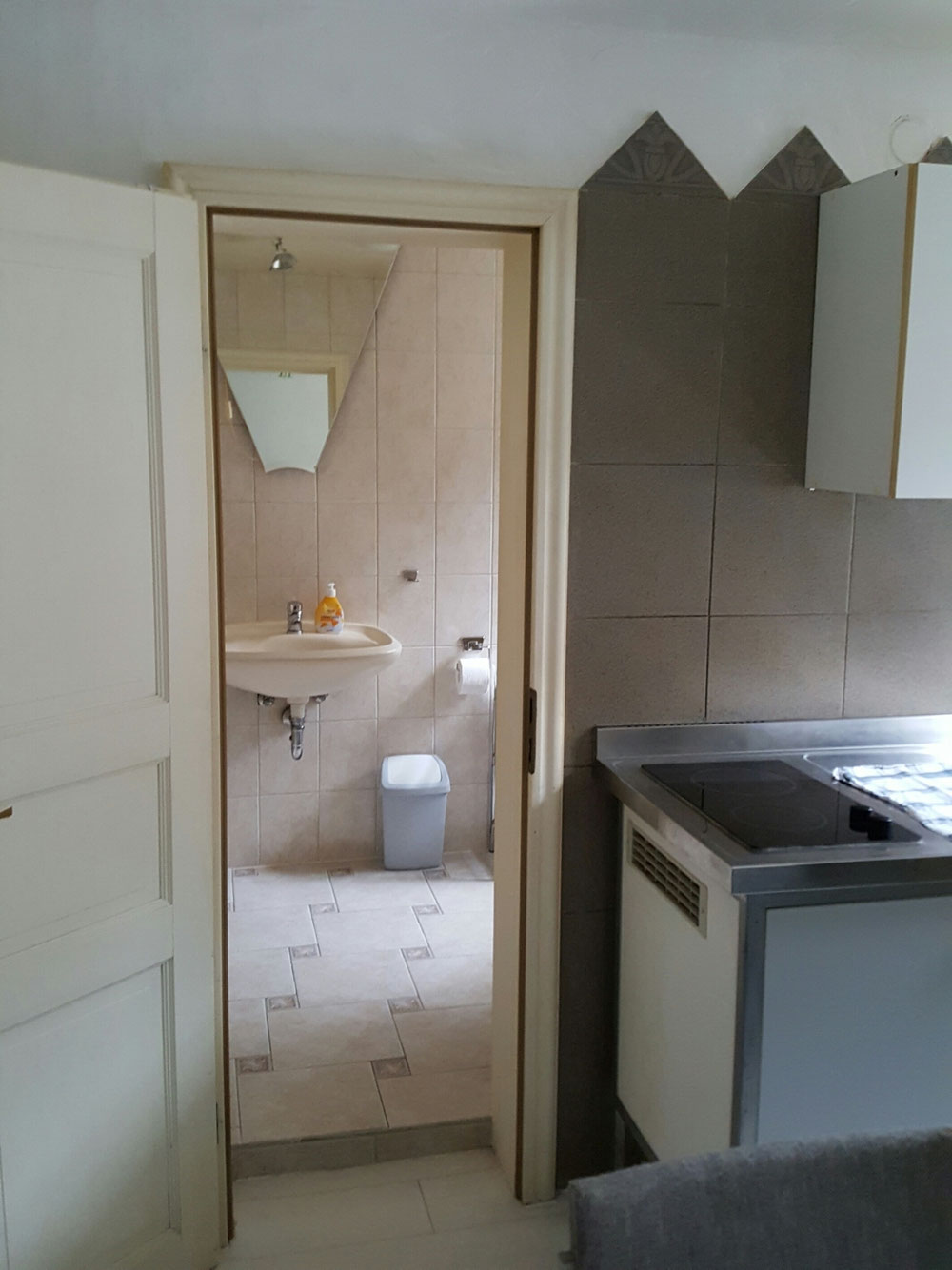 Blick in das Badezimmer mit Dusche, Waschbecken und WC