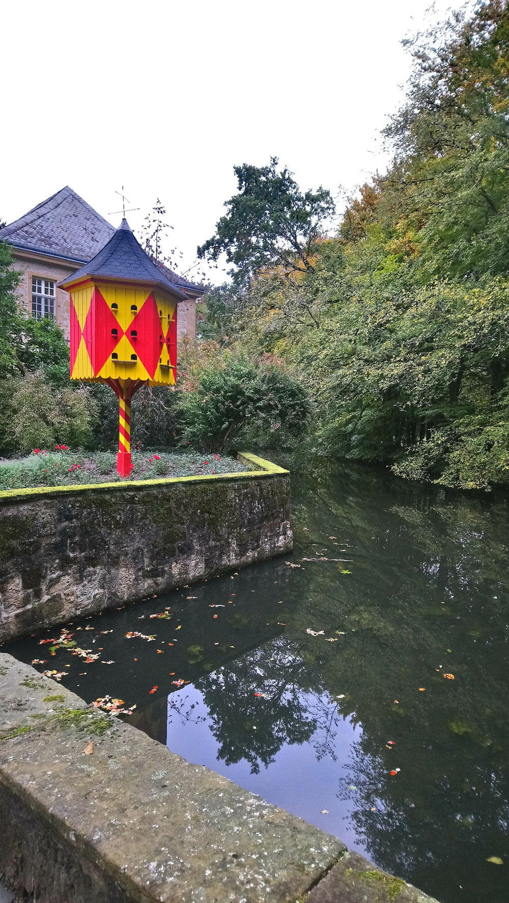 Royales 🐦 Vogelhäuschen unterwegs im nördlichen Münsterland 