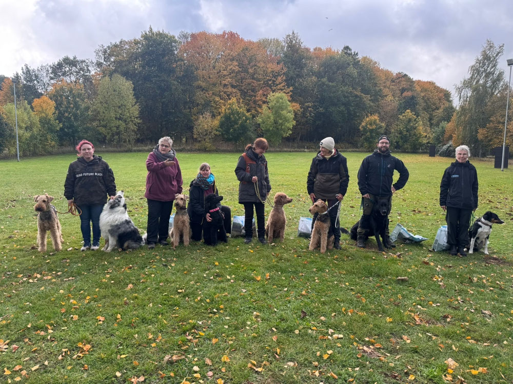 v.l.n.r. Tina mit Bailey und AC/DC, Wilma mit Fanta, Bärbel mit Nyx (IBGH 1), Marlies mit Teddy, Silke mit Finja, Kay mit Quirin (Fremdstarter), Ingegärd mit Jive