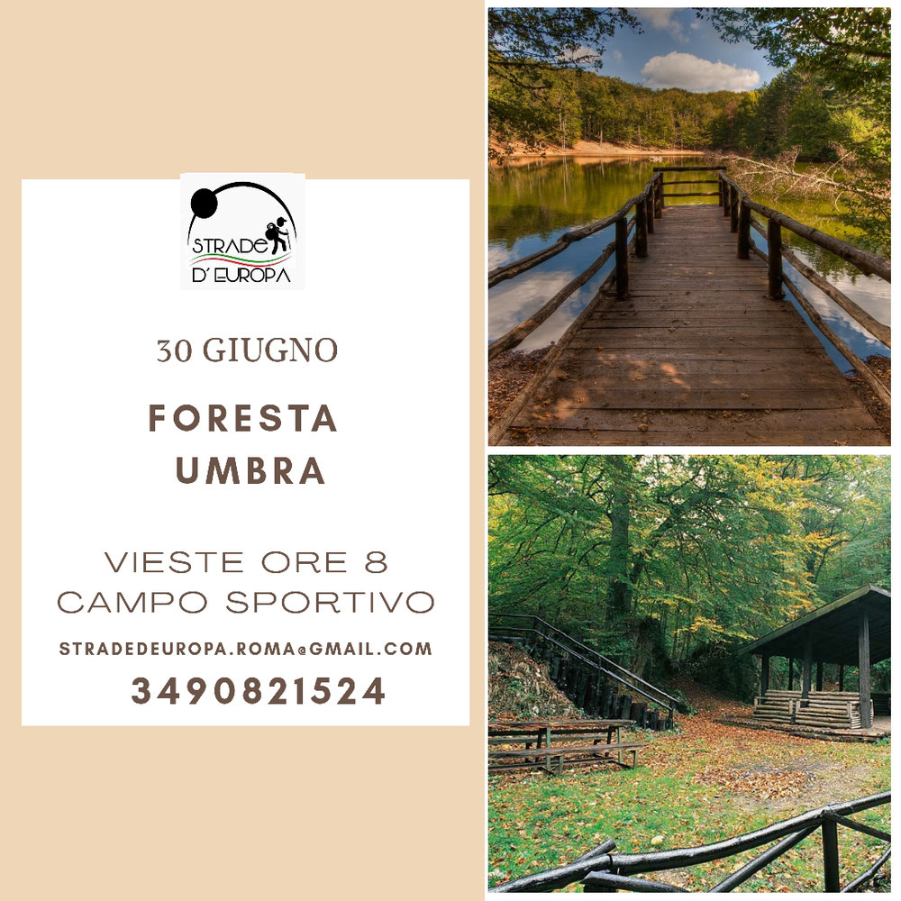 Il magico ecosistema della foresta Umbra, nel cuore del Parco Nazionale del Gargano, tra degustazioni e sentieri.