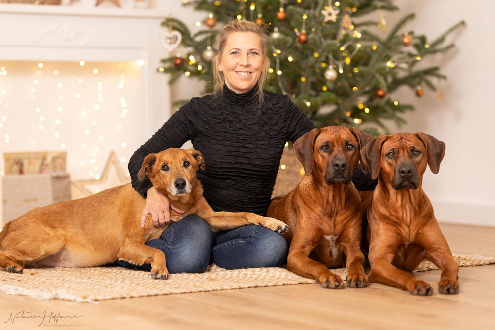 Das Mafinu Rudel wünscht Euch frohe Weihnachten und einen tollen Start ins Jahr 2024 🎉