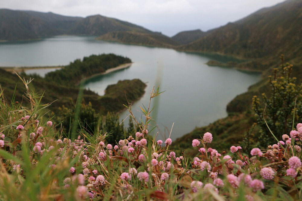 Azoren Urlaub Lagoa do Fogo Aussicht Sao Miguel