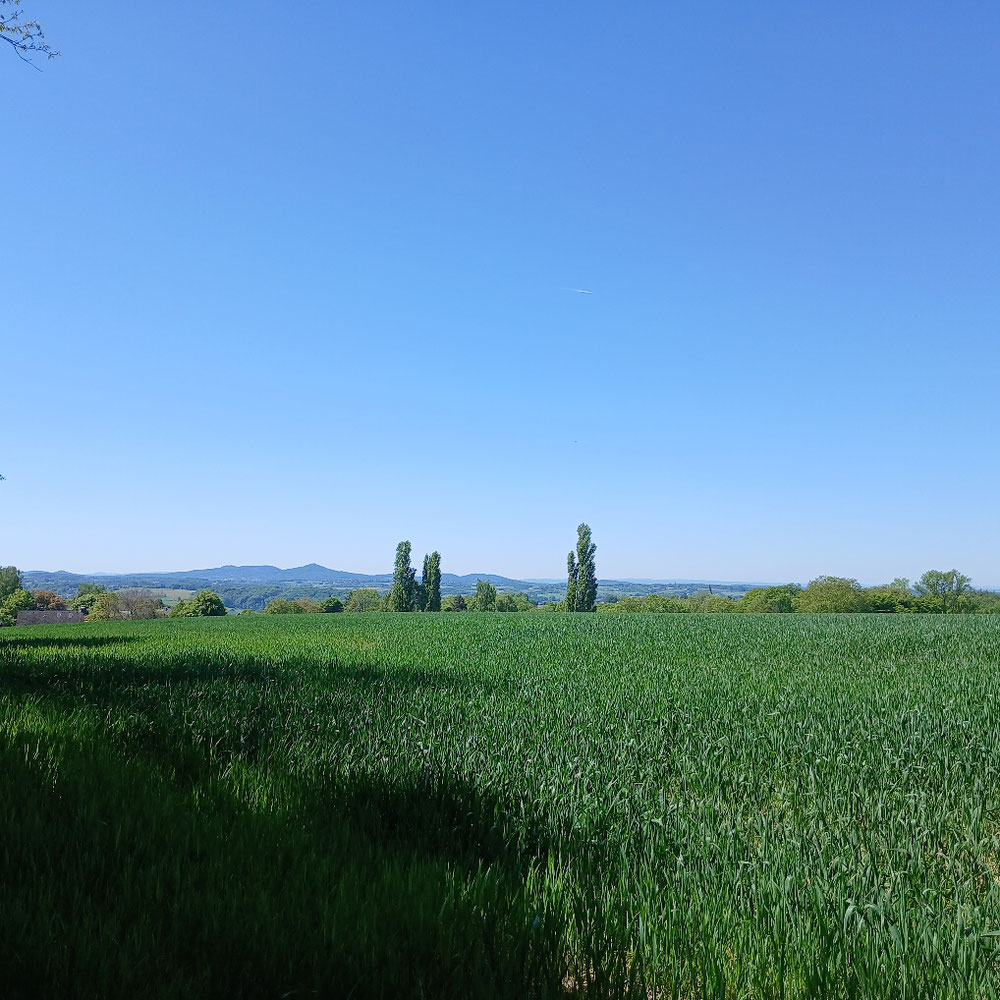 Mut zum Schweigen