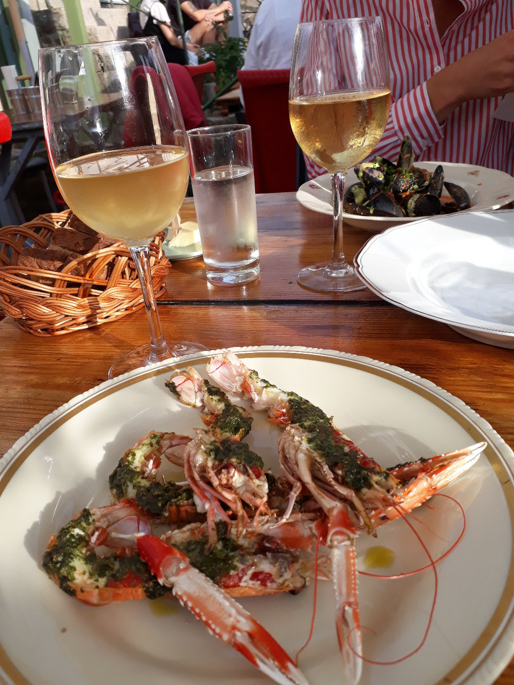 Starter