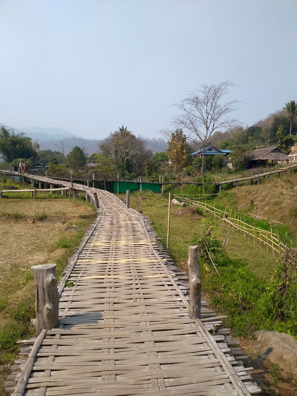 Bamboo Bridge