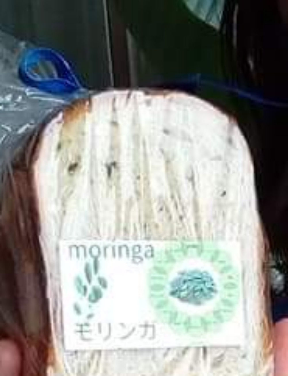 モリンガパン¥600