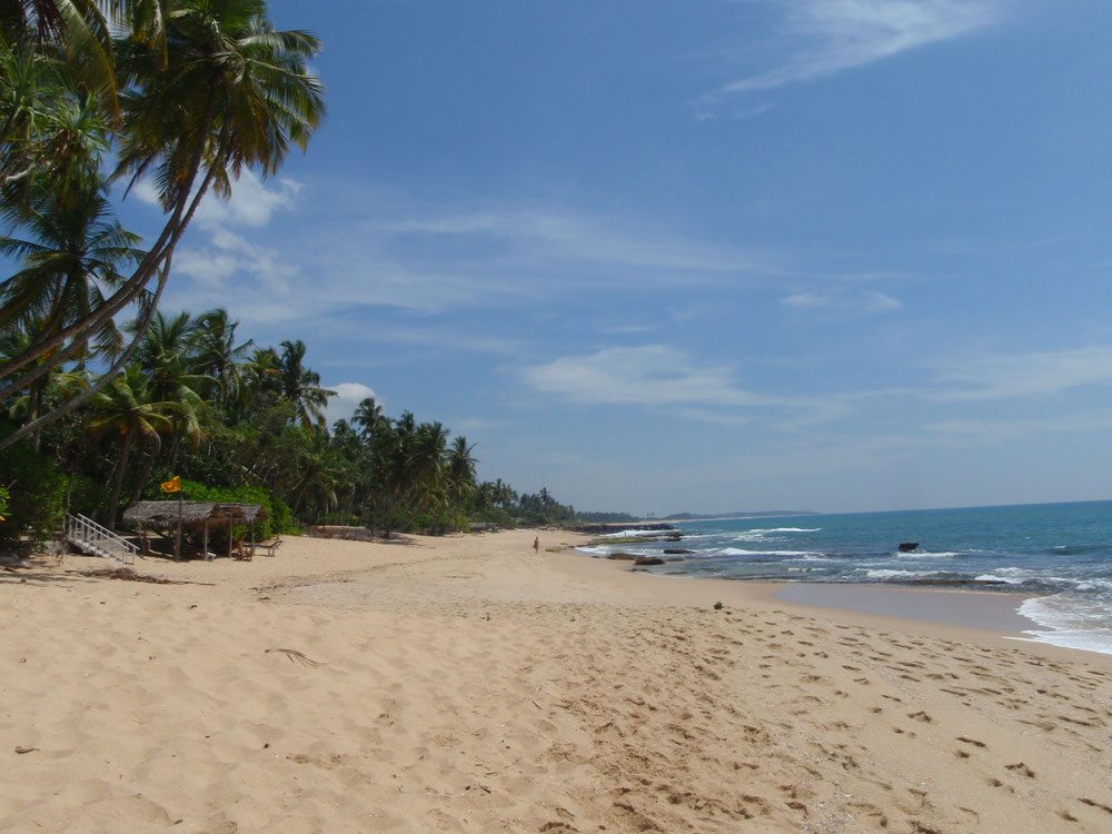 Der Winter ist lang. Und bitterkalt. Du weißt nicht wie Du ihn heuer überstehen sollst? Dann komm mit nach Sri Lanka, die smaragdgrüne Insel, Perle des indischen Ozeans!  Gemeinsam erkunden wir die wahrscheinlich schönste Insel der Welt... 