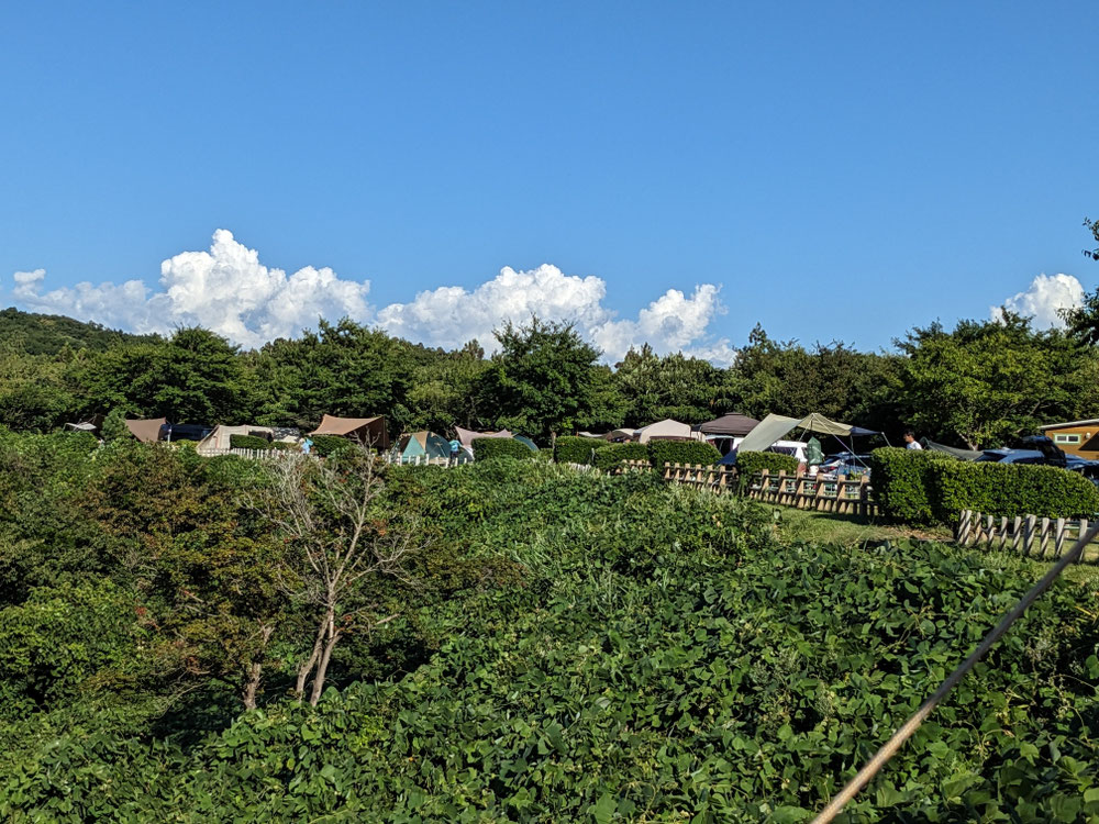 なんと暑い☀☀夏でしょう💦