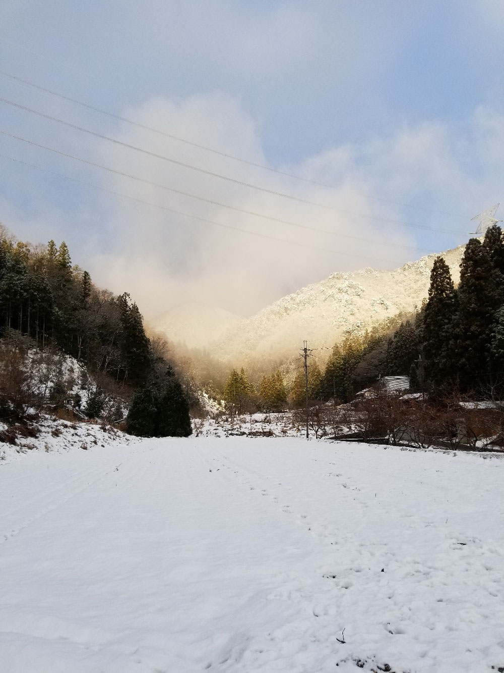 向かいの田んぼの雪景色